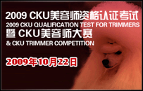 2009��CKU����ʦ�ʸ���֤������CKU����ʦ����