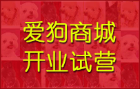 �����̳ǿ�ҵ��Ӫ